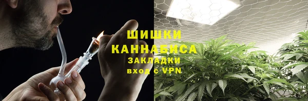 spice Ельня