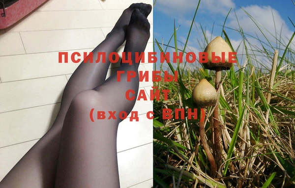 spice Ельня