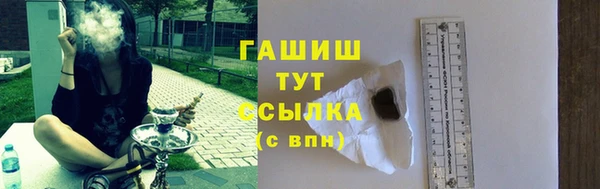 spice Ельня