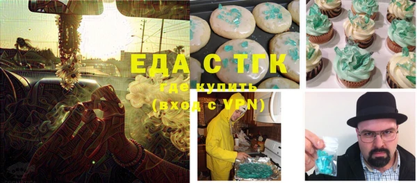 индика Грязовец