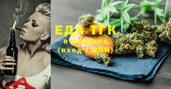 индика Грязовец