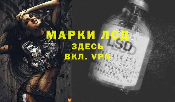 мет Елабуга