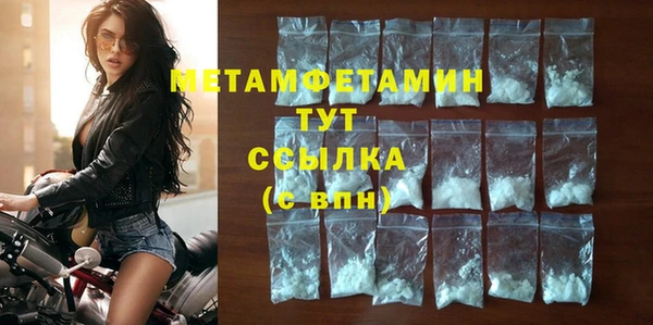 индика Грязовец