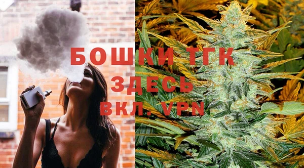 spice Ельня