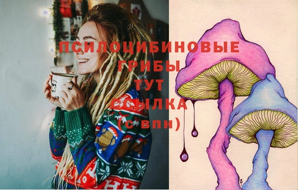 таблы Елизово