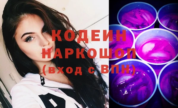 spice Ельня