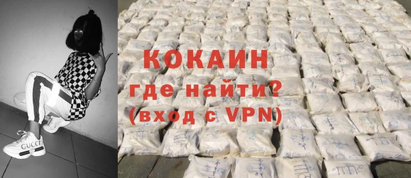 spice Ельня