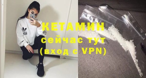 индика Грязовец