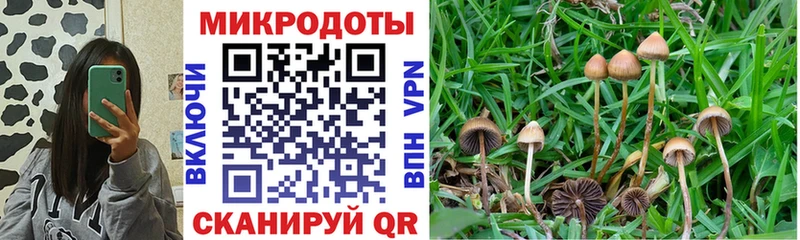 Псилоцибиновые грибы Magic Shrooms  Жуков 