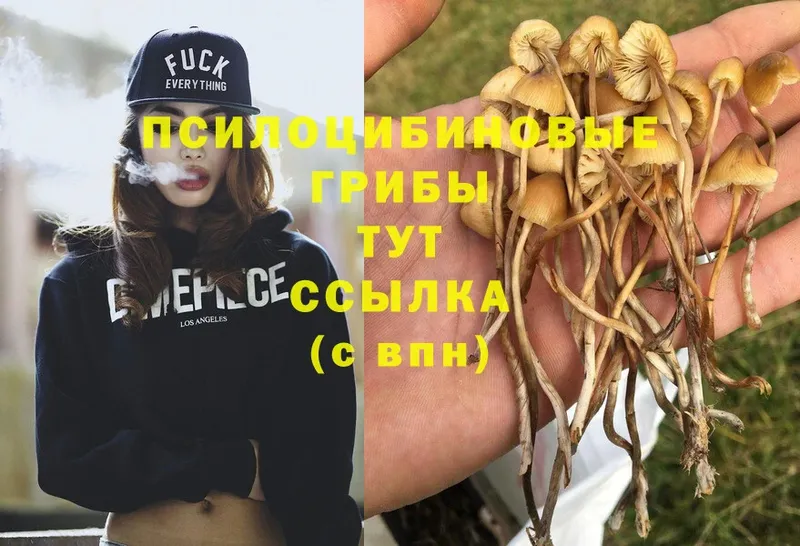 Псилоцибиновые грибы MAGIC MUSHROOMS  Жуков 