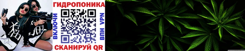 Бошки Шишки MAZAR  Жуков 